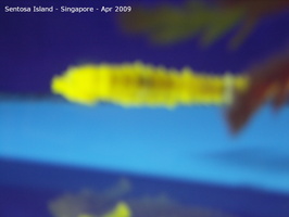 20090422 Singapore-Sentosa Island  18 of 97 